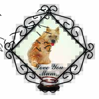 Cairn Terrier Dog 