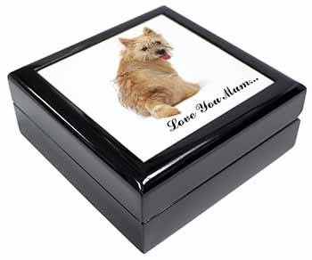 Cairn Terrier Dog 