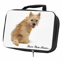 Cairn Terrier Dog 