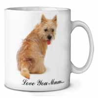 Cairn Terrier Dog 