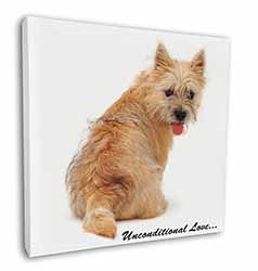 Cairn Terrier Dog With Love Square Canvas 12"x12" Wall Art Picture Print