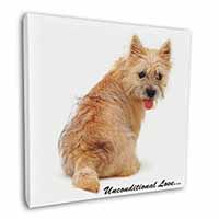 Cairn Terrier Dog With Love Square Canvas 12"x12" Wall Art Picture Print