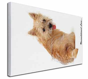 Cairn Terrier Dog With Love Canvas X-Large 30"x20" Wall Art Print