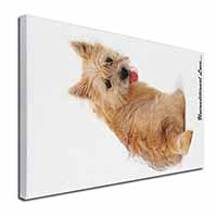 Cairn Terrier Dog With Love Canvas X-Large 30"x20" Wall Art Print