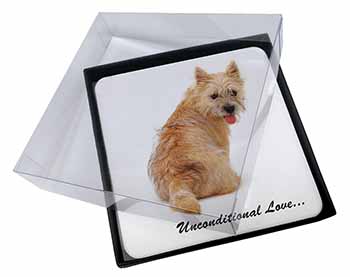 4x Cairn Terrier Dog With Love Picture Table Coasters Set in Gift Box