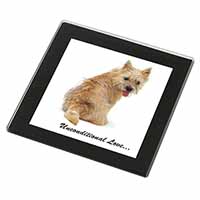 Cairn Terrier Dog With Love Black Rim High Quality Glass Coaster