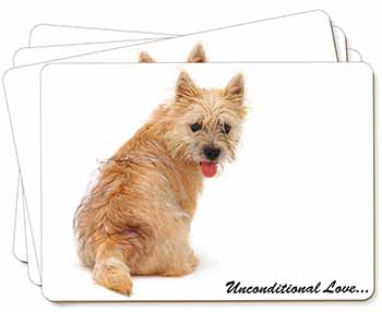 Cairn Terrier Dog With Love Picture Placemats in Gift Box
