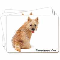 Cairn Terrier Dog With Love Picture Placemats in Gift Box