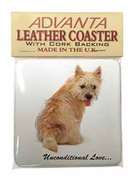 Cairn Terrier Dog With Love Single Leather Photo Coaster