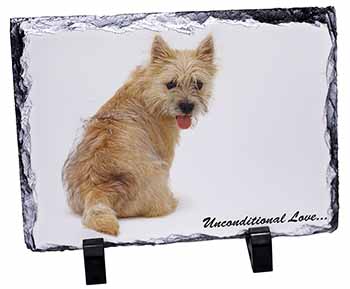 Cairn Terrier Dog With Love, Stunning Photo Slate
