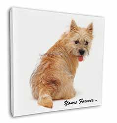 Cairn Terrier Dog "Yours Forever..." Square Canvas 12"x12" Wall Art Picture Prin