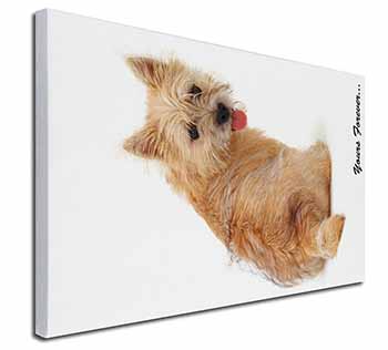Cairn Terrier Dog "Yours Forever..." Canvas X-Large 30"x20" Wall Art Print