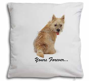 Cairn Terrier Dog "Yours Forever..." Soft White Velvet Feel Scatter Cushion