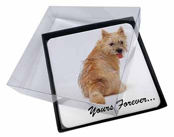4x Cairn Terrier Dog "Yours Forever..." Picture Table Coasters Set in Gift Box
