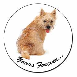 Cairn Terrier Dog "Yours Forever..." Fridge Magnet Printed Full Colour