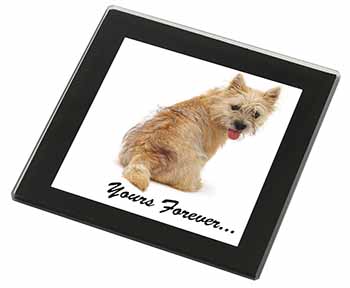 Cairn Terrier Dog "Yours Forever..." Black Rim High Quality Glass Coaster