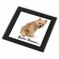 Cairn Terrier Dog "Yours Forever..." Black Rim High Quality Glass Coaster