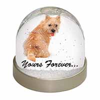 Cairn Terrier Dog "Yours Forever..." Snow Globe Photo Waterball