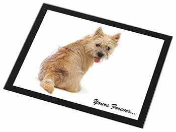 Cairn Terrier Dog "Yours Forever..." Black Rim High Quality Glass Placemat
