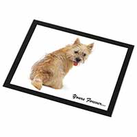 Cairn Terrier Dog "Yours Forever..." Black Rim High Quality Glass Placemat