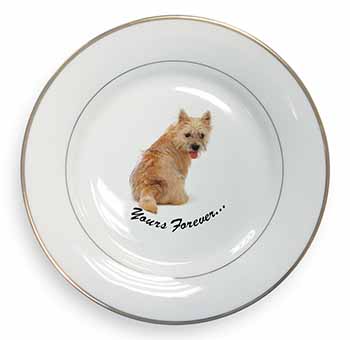 Cairn Terrier Dog "Yours Forever..." Gold Rim Plate Printed Full Colour in Gift 