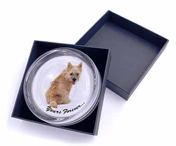 Cairn Terrier Dog "Yours Forever..." Glass Paperweight in Gift Box