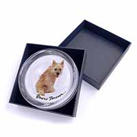 Cairn Terrier Dog "Yours Forever..." Glass Paperweight in Gift Box