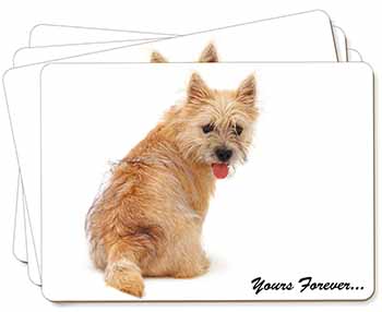 Cairn Terrier Dog "Yours Forever..." Picture Placemats in Gift Box