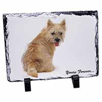 Cairn Terrier Dog "Yours Forever...", Stunning Photo Slate