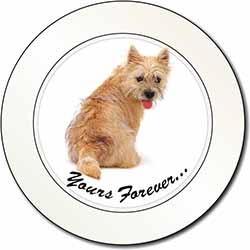 Cairn Terrier Dog "Yours Forever..." Car or Van Permit Holder/Tax Disc Holder