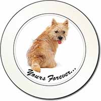 Cairn Terrier Dog "Yours Forever..." Car or Van Permit Holder/Tax Disc Holder