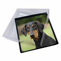 4x Doberman Pinscher Picture Table Coasters Set in Gift Box