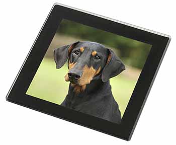 Doberman Pinscher Black Rim High Quality Glass Coaster