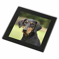 Doberman Pinscher Black Rim High Quality Glass Coaster