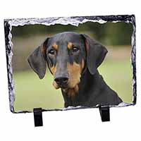 Doberman Pinscher, Stunning Photo Slate