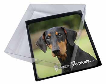 4x Doberman Pinscher Dog "Yours Forever..." Picture Table Coasters Set in Gift B