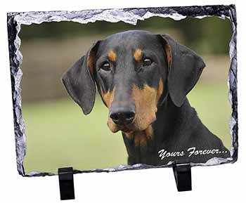 Doberman Pinscher Dog "Yours Forever...", Stunning Photo Slate