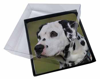 4x Dalmatian Dog Picture Table Coasters Set in Gift Box
