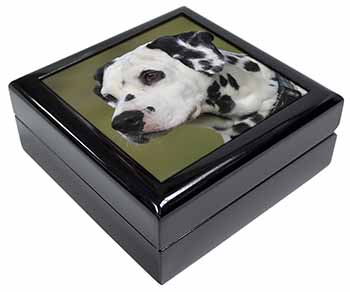 Dalmatian Dog Keepsake/Jewellery Box