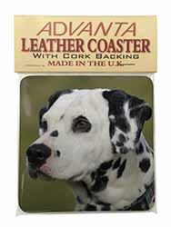 Dalmatian Dog Single Leather Photo Coaster