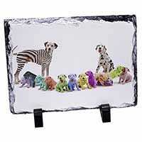 Colourful Dalmatian Dogs, Stunning Photo Slate