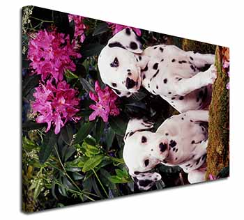 Dalmatian Canvas X-Large 30"x20" Wall Art Print