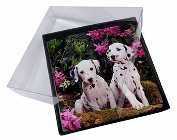 4x Dalmatian Picture Table Coasters Set in Gift Box