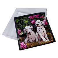 4x Dalmatian Picture Table Coasters Set in Gift Box