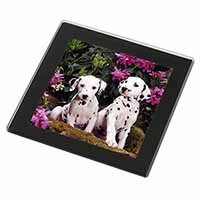 Dalmatian Black Rim High Quality Glass Coaster