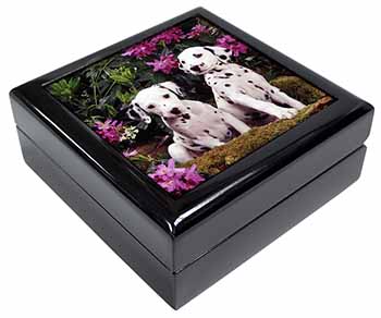 Dalmatian Keepsake/Jewellery Box