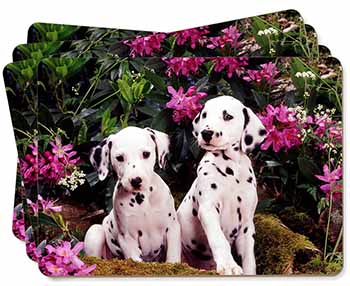 Dalmatian Picture Placemats in Gift Box