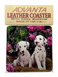 Dalmatian Single Leather Photo Coaster