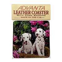 Dalmatian Single Leather Photo Coaster