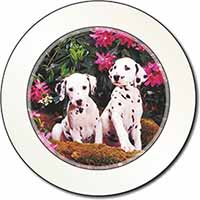 Dalmatian Car or Van Permit Holder/Tax Disc Holder